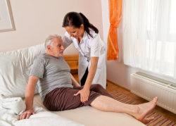 group of elderly having a leisure time